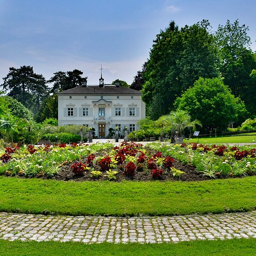 The beautiful Botanical gardens of Basel perfect for dates